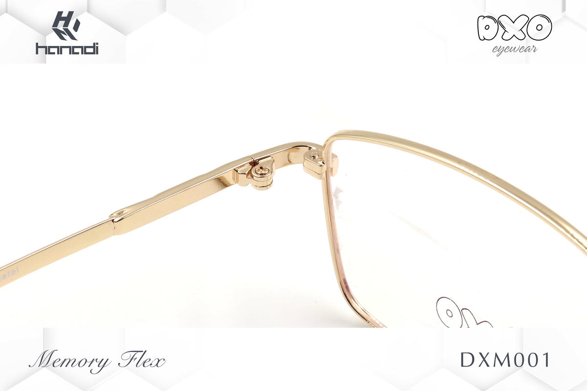 G. DXO MEMORY FLEX DXM001