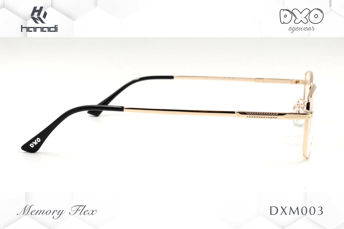 G. DXO MEMORY FLEX DXM003