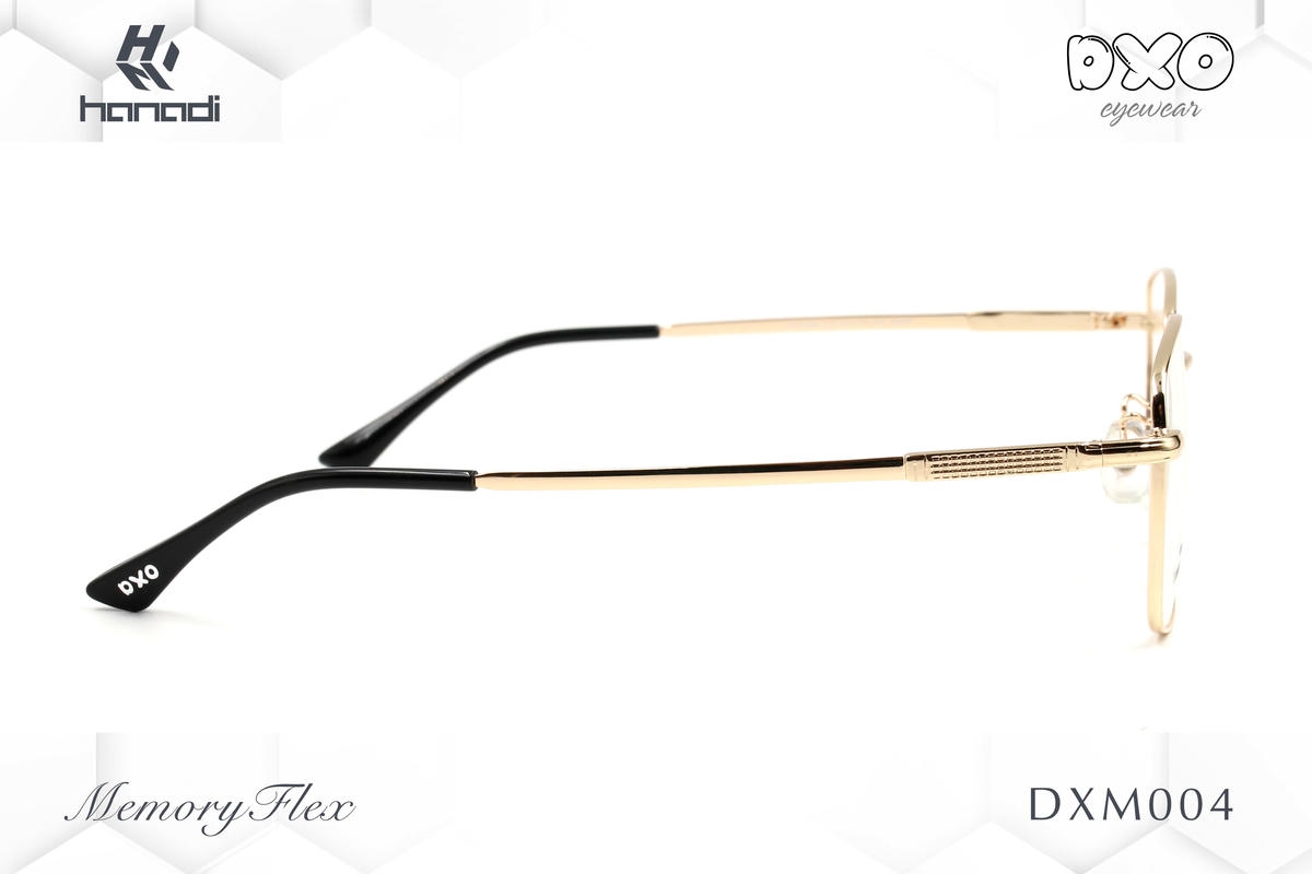 G. DXO MEMORY FLEX DXM004