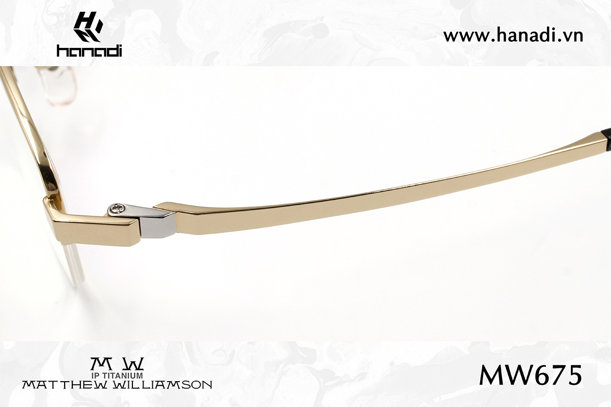 G. TITANIUM MATTHEW WILLIAMSON MW/675