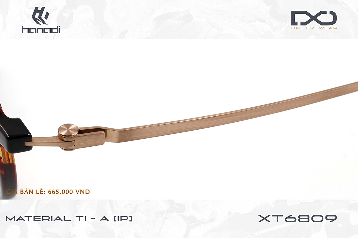 GỌNG TITANIUM ALLOY DXO XT6809